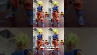 Son Goku , Super Saiyan Warrior Awakens!