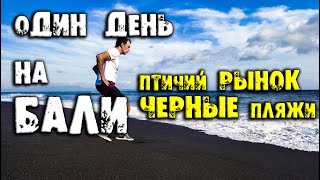 Один день на Бали, птичий рынок бали, черный пляж бали, сколько стоит жить на бали, жизнь на бали