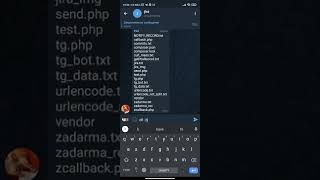 телеграм бот терминал на php