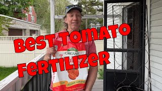 Best tomato Fertilizer - Organic and Easy