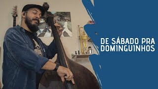 De Sábado Pra Dominguinhos || Hermeto Pascoal [bass cover]