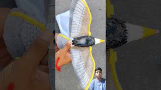 Rc flying eagle birds unboxing and testing #shorts #eagle #rc #toys #birds #birds #flyingtoys