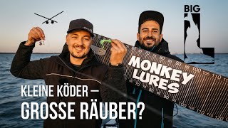 Kleine Köder - Große Räuber ? BIG L angelt auf Hecht, Barsch und Zander !