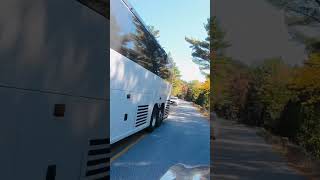 Narrow roads inside Acadia National Park #shorts #cycling