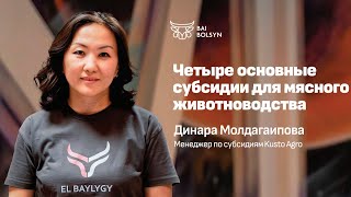 Как и какие субсидии можно получить на скот в Казахстане? Динара Молдагаипова | EL BAYLYGY