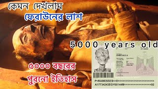 ফেরাউনের লাশ কেমন দেখলাম / 5000 years old mummy / মিশরের জাদুঘর / Egyptian Museum #mummy #egyptian