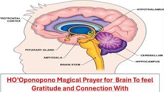 Ho oponopono prayer se Apne Mind ,Brain ko 100% Heal kaise kare