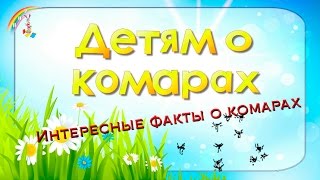 Мультфильм детям о комарах. Интересные факты о комарах для детей