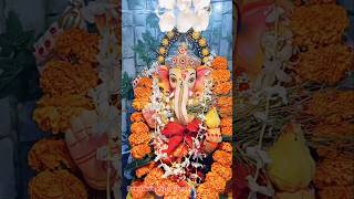 घर में पधारों गजाननं जी #ganeshchaturthi #ganeshachaturthi #गणेशचतुर्थी #shorts #shortsfeed #ganpati