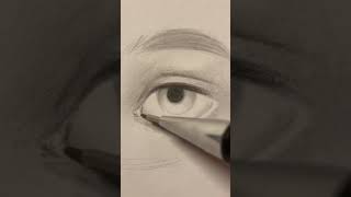 Incredible Drawing Skills tiktok