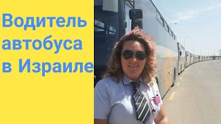 Права на автобус, работа и зарплата водителей в Израиле