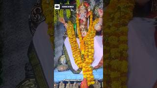 Ma colony Ganesh dagara pooja#shortsfeed#shortvideos #telugu #ganesh #marathi #kids #baby#cute#pooja