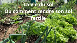 La vie du sol ou comment rendre son sol fertile