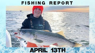 New Jersey Fishing Report April 13th #fishingreport #surffishing