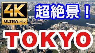 【4K】JAL機で東京をぐるりと旋回  東京のデカさを実感する南風運航での羽田空港への着陸