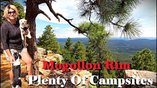 Want To Camp East Mogollon Rim? Campground Tours - Free & Paid Camping Options On Rim Road