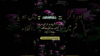 Surah Nisa urdu translation beautfull voice