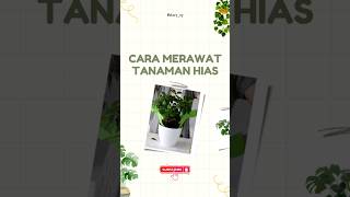 Cara Mudah Merawat Tanaman Hias #tips #tanamanhias