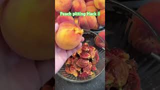 Peach pitting hack with needle nose pliers. #peach