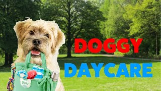 Doggy Daycare - Full Movie | Great! Hope