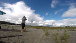 Alaska 2014 - Tanana River Sandbar