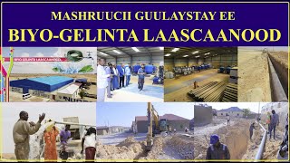 MASHRUUCA BIYO GELINTA LAASCAANOOD OO GUULAYSTAY NUGAAL INC DOCU 2022