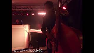 Organic Lounge Live