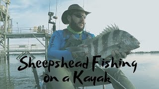 Sheepshead Fishing from a Kayak (Dauphin Island, AL)