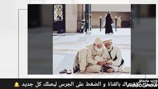 كل الحب عذاب إلا الحب في الله | الشيخ محمد مختار الشنقيطي