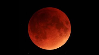 Roblox nicos nextbot: blood moon