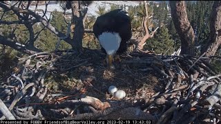 Jackie with a fish for herself 🐠 Zoom on eggs 🥚 February 19/2023