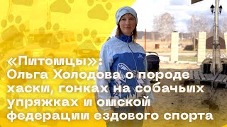 Ольга Холодова о породе хаски, гонках на собачьих упряжках иомской федерации ездового спорта