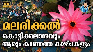 മലരിക്കലെ കൊട്ടിക്കലാശം | Water lily fields in Malarikal | Kottayam | Kerala