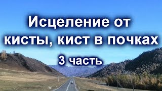 Божественное исцеление от поликистоза почек 3 часть Сытин Г.Н.