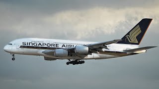 A380, B777, MD-11 - HEAVY Morning LANDINGS at Frankfurt Am Main Airport