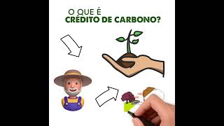 CRÉDITO DE CARBONO