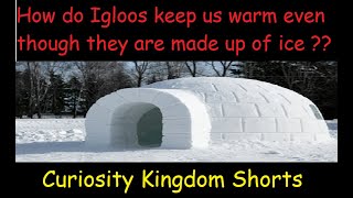 How do igloos keep us warm even though they are made up of Ice | Igloos warm though made of Ice #CKS