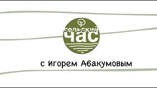 Абакумов: Государственные служащие рвутся выполнять программу, о которой людям ничего не известно