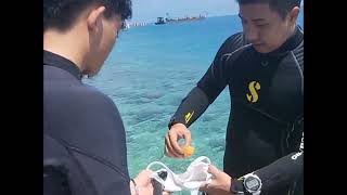 Edisi Ujian Diving di Pulau Pramuka #diving, #pulaupramuka , #bersamakeluarga