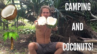 Camping And Coconuts!