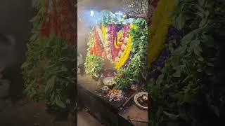 माता के नौ रूपों मे से एक रूप माँ अष्टभुजा के दर्शन #माँ #navratri #navratrispecial #viralvideo