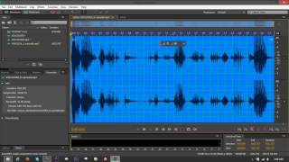 Basic Raw File Edit on Adobe Audition CS6