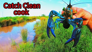 REMOTE Outback Creek HUGE Blueclaw Crayfish !!! Catch Clean Cook