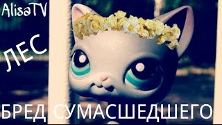 LPS: Бред в ЛЕСУ (С Катей)