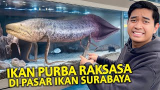 IKAN PURBA RAKSASA LANGKA DI PASAR IKAN GUNUNG SARI SURABAYA! GAK NYANGKA ADA IKAN INI!