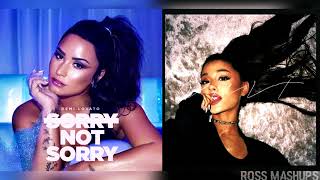 Ariana Grande Quit - Demi Lovato Sorry Not Sorry Ross Mashups