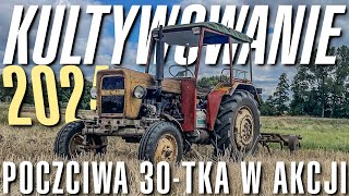 Kultywowanie 2024 | Poczciwa 30-stka wraca na pełnym gazie 💪