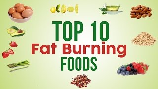 Top 10 Fat Burning Foods 2017  || How to Loose Weight || What it Takes