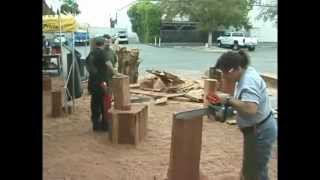 Chainsaw Carving Boot Camp at Bailey's