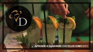 MANUAL DEL BARTENDER